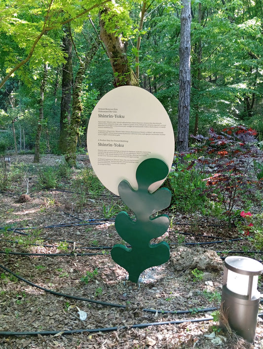 Outdoor Educational & Directional Signage Collection – Forest & Park Signs