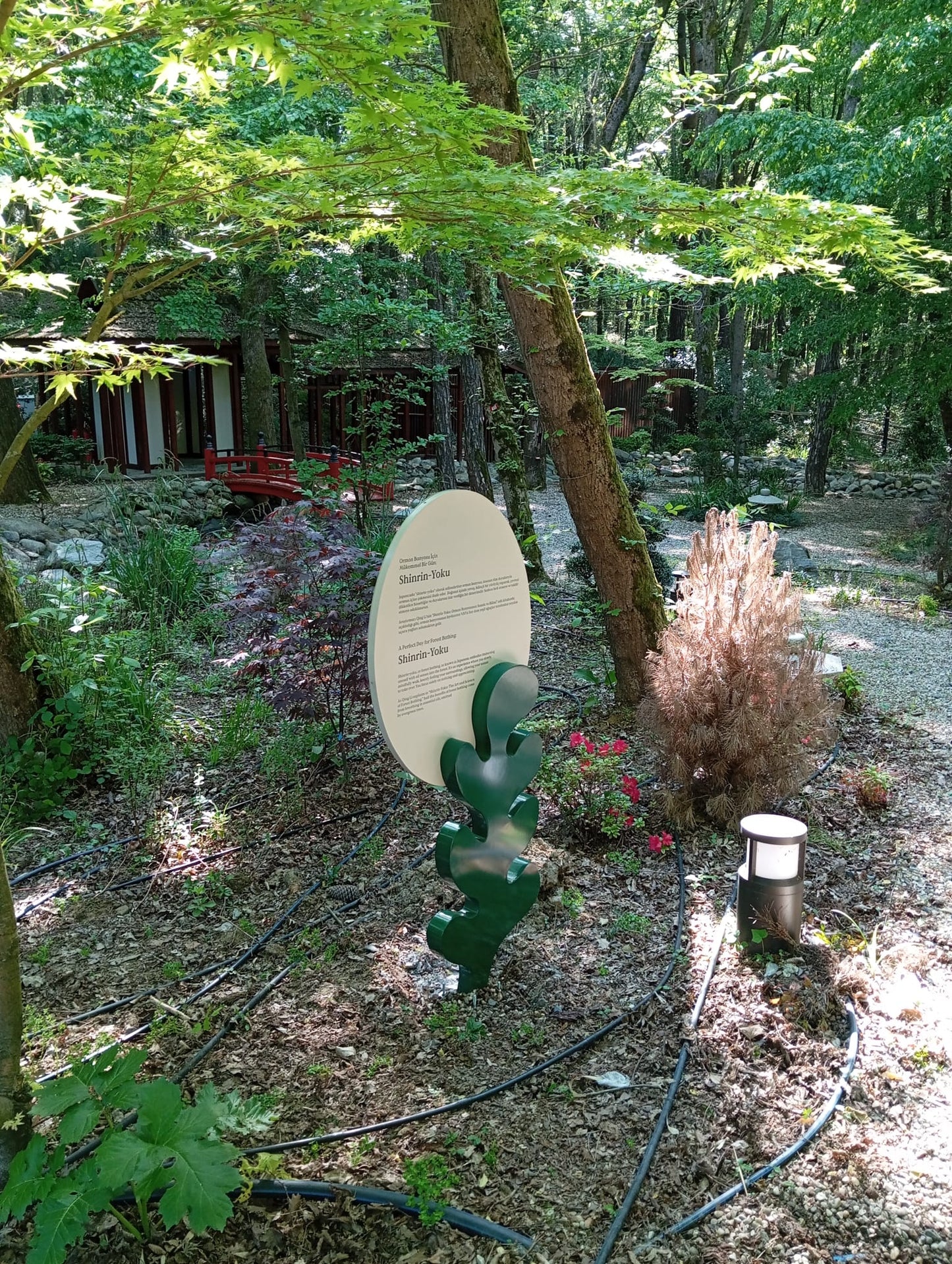 Outdoor Educational & Directional Signage Collection – Forest & Park Signs