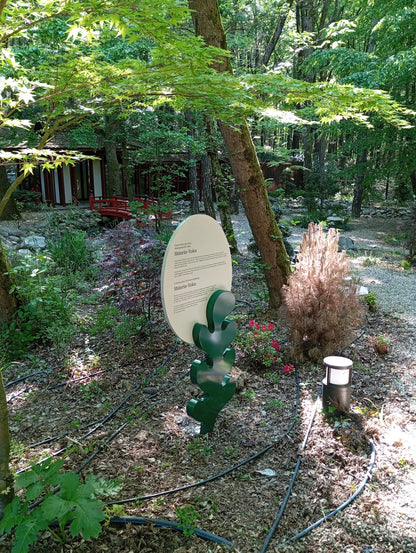 Outdoor Educational & Directional Signage Collection – Forest & Park Signs