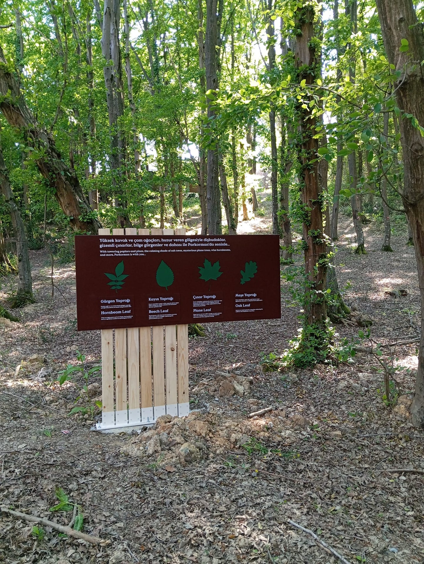 Outdoor Educational & Directional Signage Collection – Forest & Park Signs