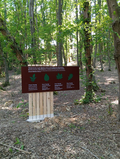 Outdoor Educational & Directional Signage Collection – Forest & Park Signs