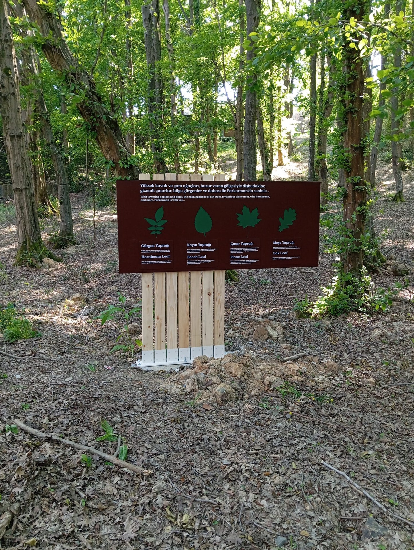 Outdoor Educational & Directional Signage Collection – Forest & Park Signs