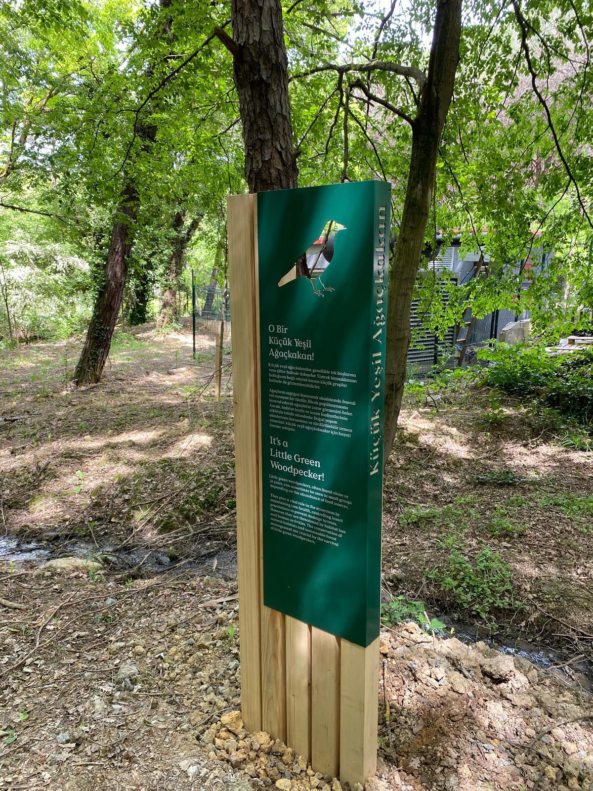Informational sign in a forested area with trees and greenery around