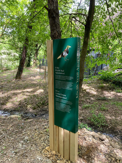 Informational sign in a forested area with trees and greenery around