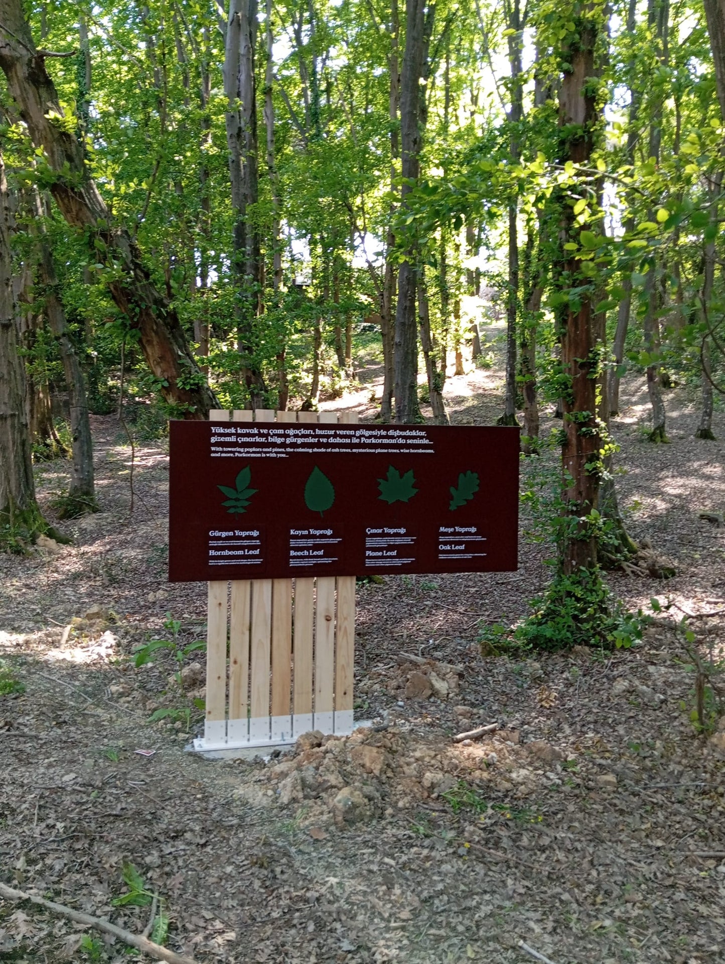 Outdoor Educational & Directional Signage Collection – Forest & Park Signs