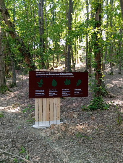 Outdoor Educational & Directional Signage Collection – Forest & Park Signs