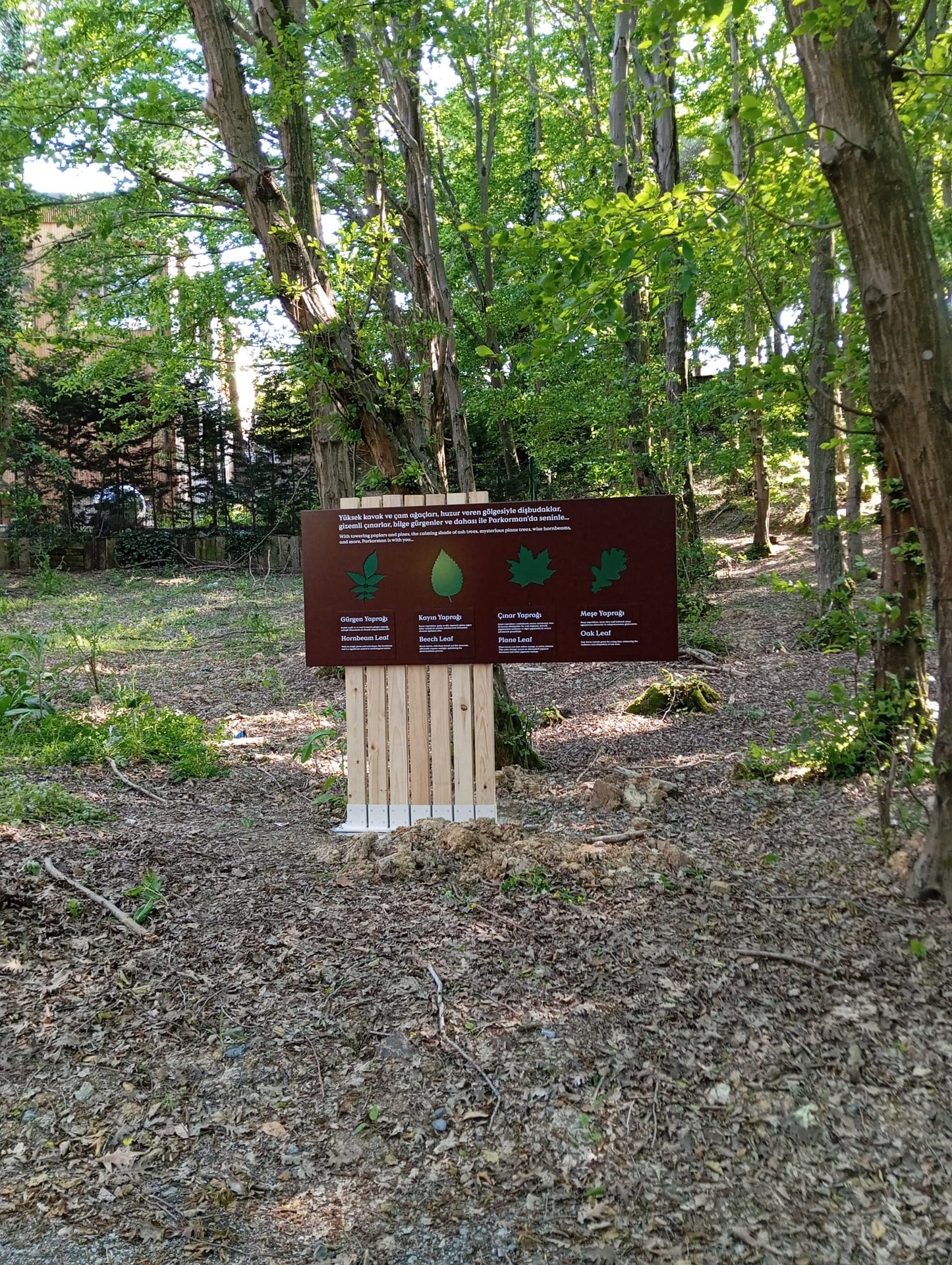 Outdoor Educational & Directional Signage Collection – Forest & Park Signs